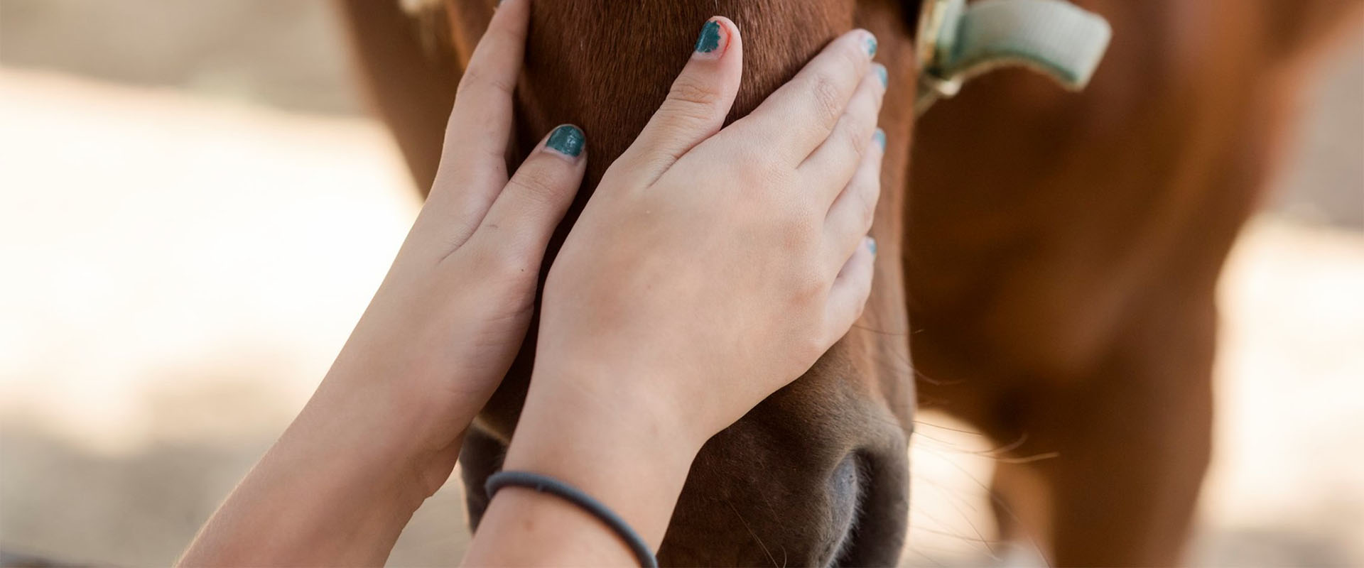 las mujeres sostienen el hocico del caballo